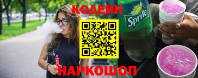 гашик Кингисепп