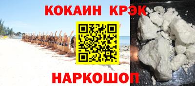 гашик Кингисепп