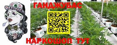гашик Кингисепп