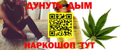 гашик Кингисепп