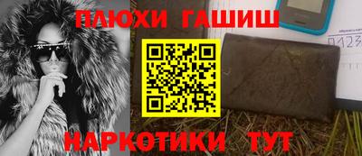 гашик Кингисепп